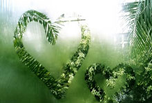 雷火电竞投注登录-包含赛季冠军球队教练被爆使用禁药的词条