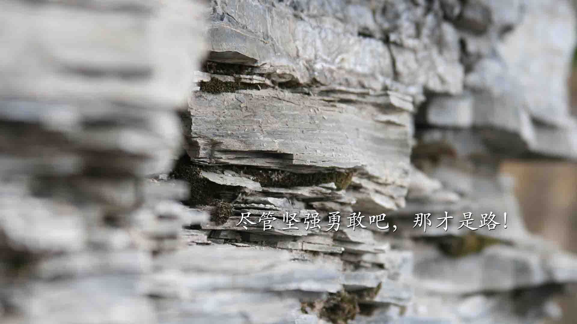 雄鹿力克黄蜂，杰伦·格林成为关键先生