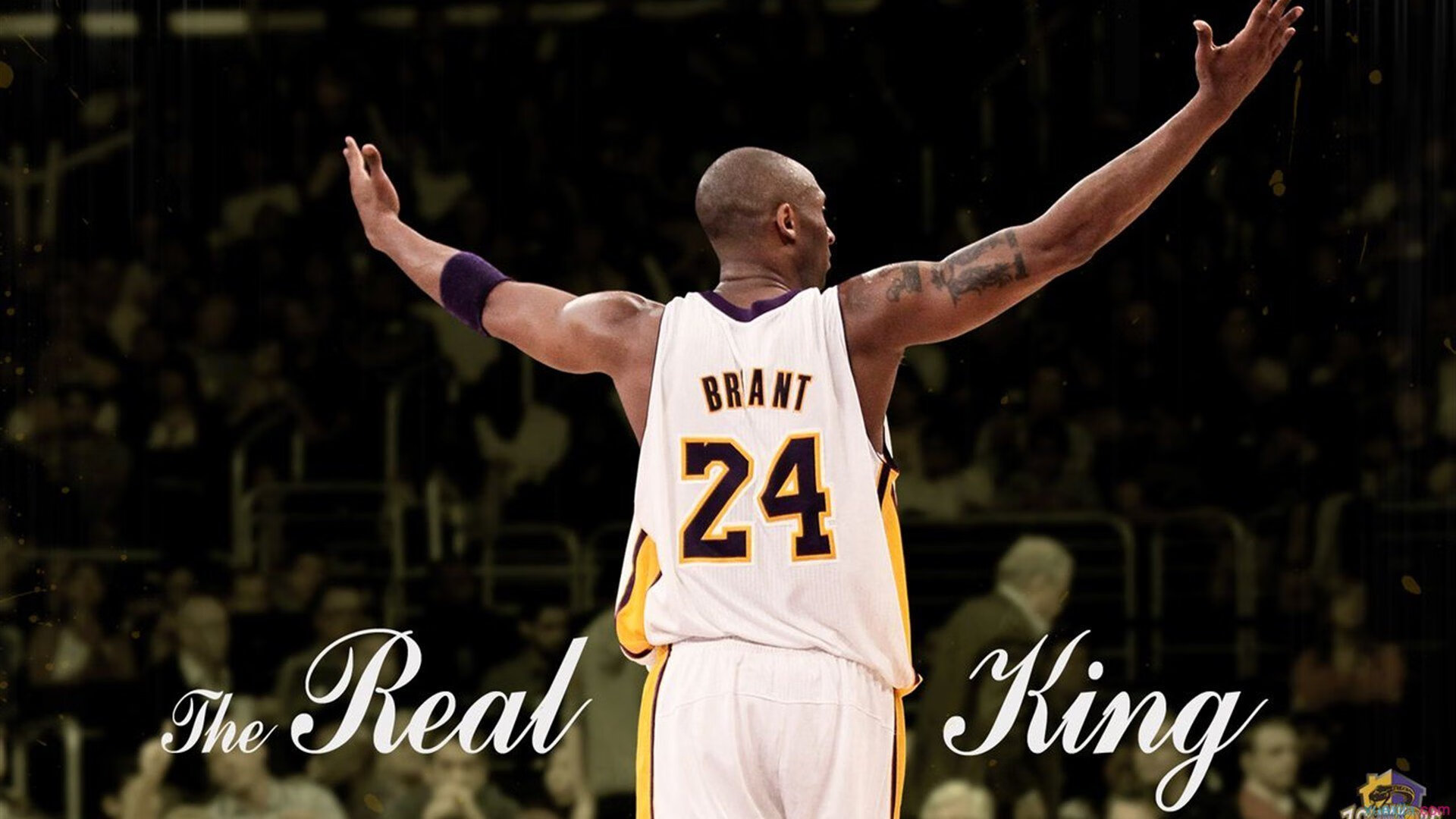 莫兰特绝境展锋芒，雄鹿斩落灰熊揭示新时代巨星法则