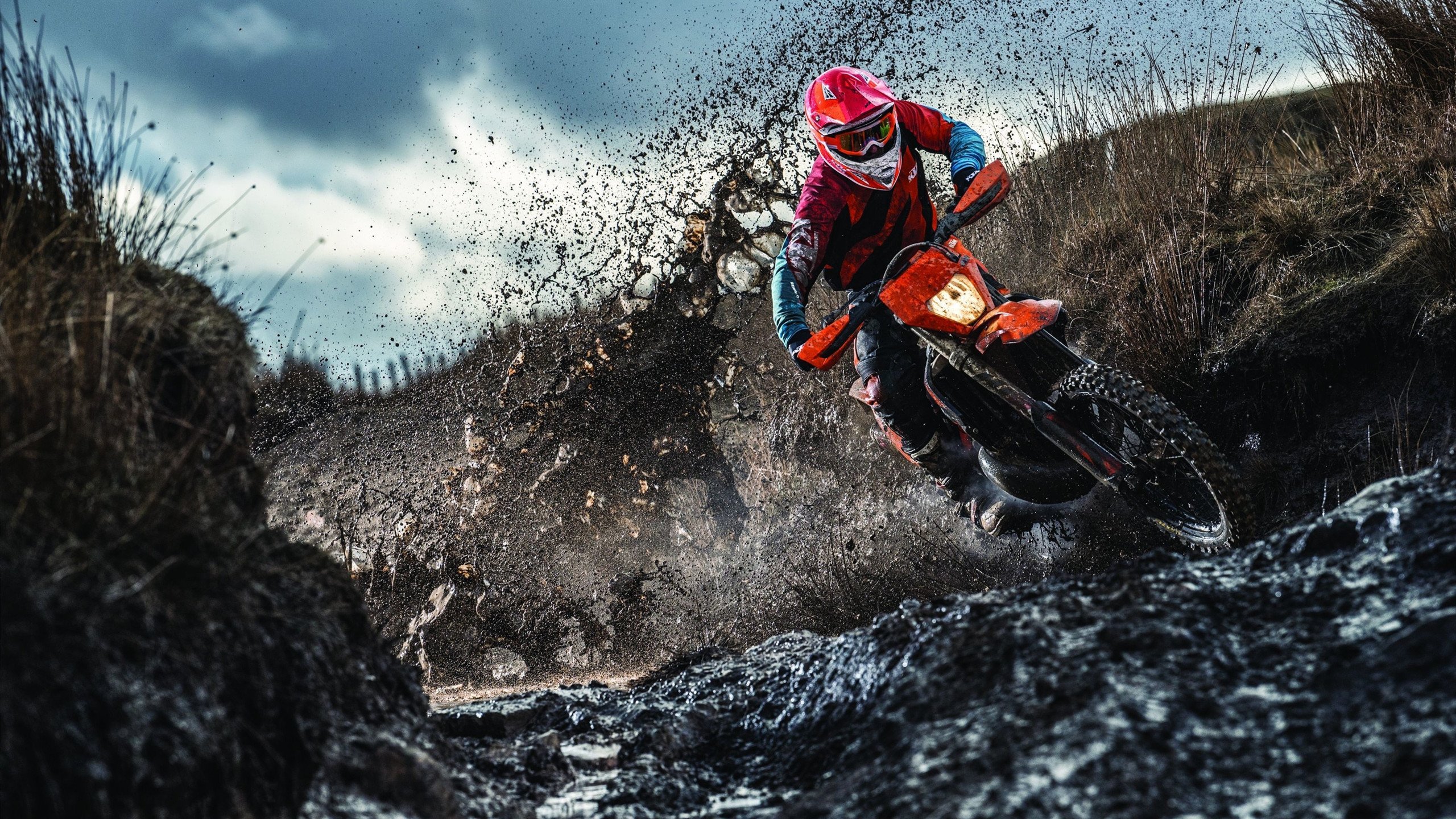 加纳强行终结美国，布鲁诺如何成为改写历史的关键先生